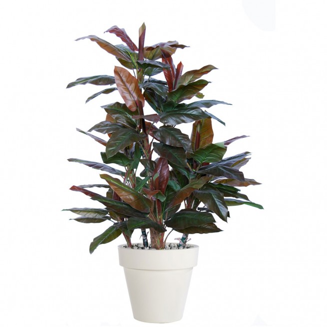 Planta semi-artificiala Ila, Cordyline Boschetto Green Red - 170 cm